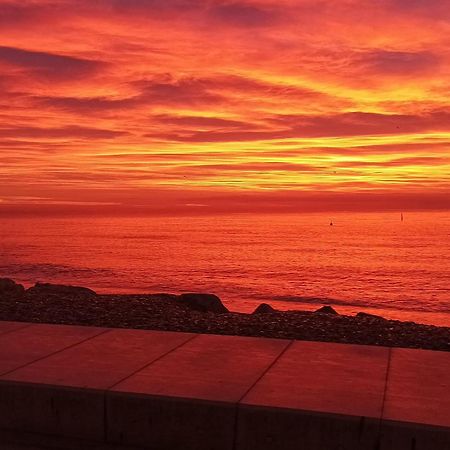 Bel Appartement Les Pieds Dans L'Eau Villeneuve-Loubet Ngoại thất bức ảnh