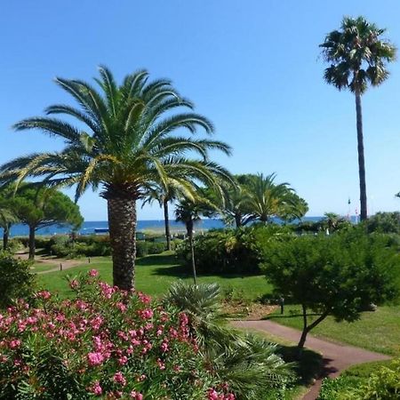 Bel Appartement Les Pieds Dans L'Eau Villeneuve-Loubet Ngoại thất bức ảnh